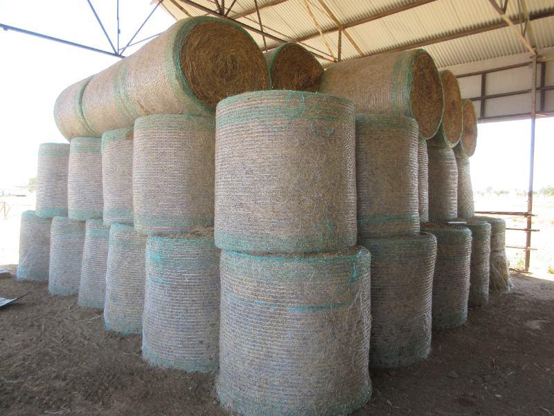 Lot 162 - 150 BALES 4M X 4M MITCHELL GRASS & PASTURE HAY (BALED MARCH ...
