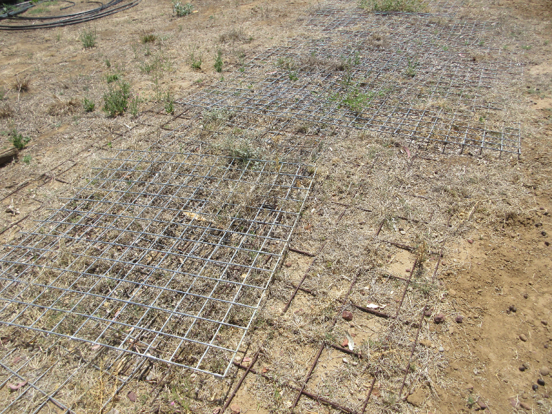 Lot 180 - WELD MESH, RIO, SHEEP YARD MESH | AuctionsPlus
