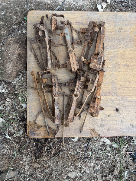 Lot 172 - Rabbit Traps x 10 | AuctionsPlus