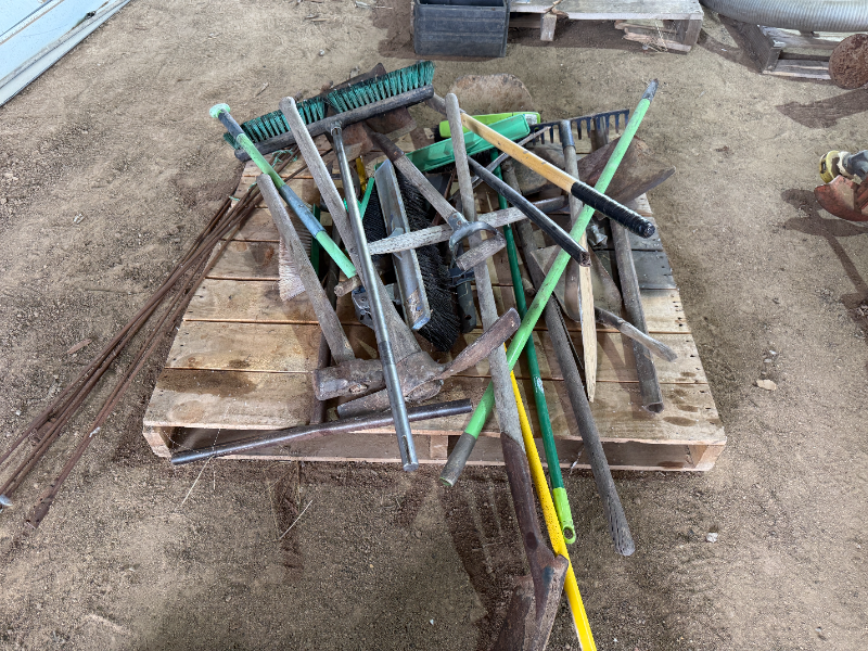 Lot 73 - Assorted Garden Hand Tools | AuctionsPlus