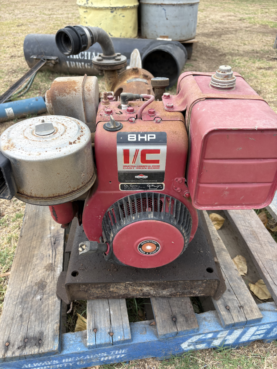 Extracteur de jus/ énergique+