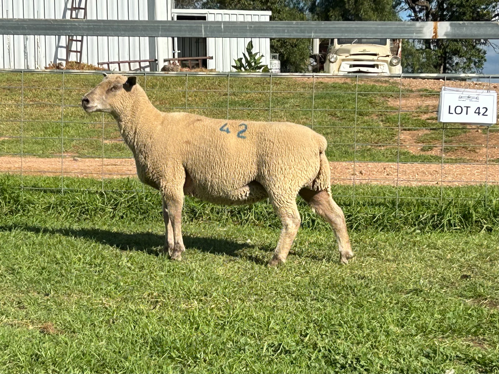 Lot 42 - Tag 311.22 | AuctionsPlus