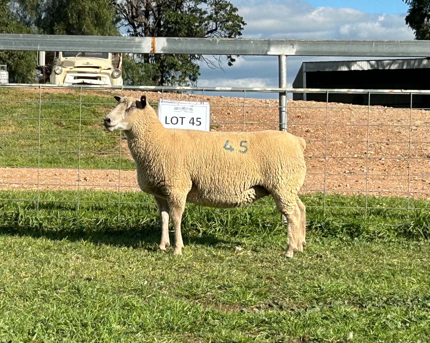 Lot 45 - Tag 321.22 | AuctionsPlus