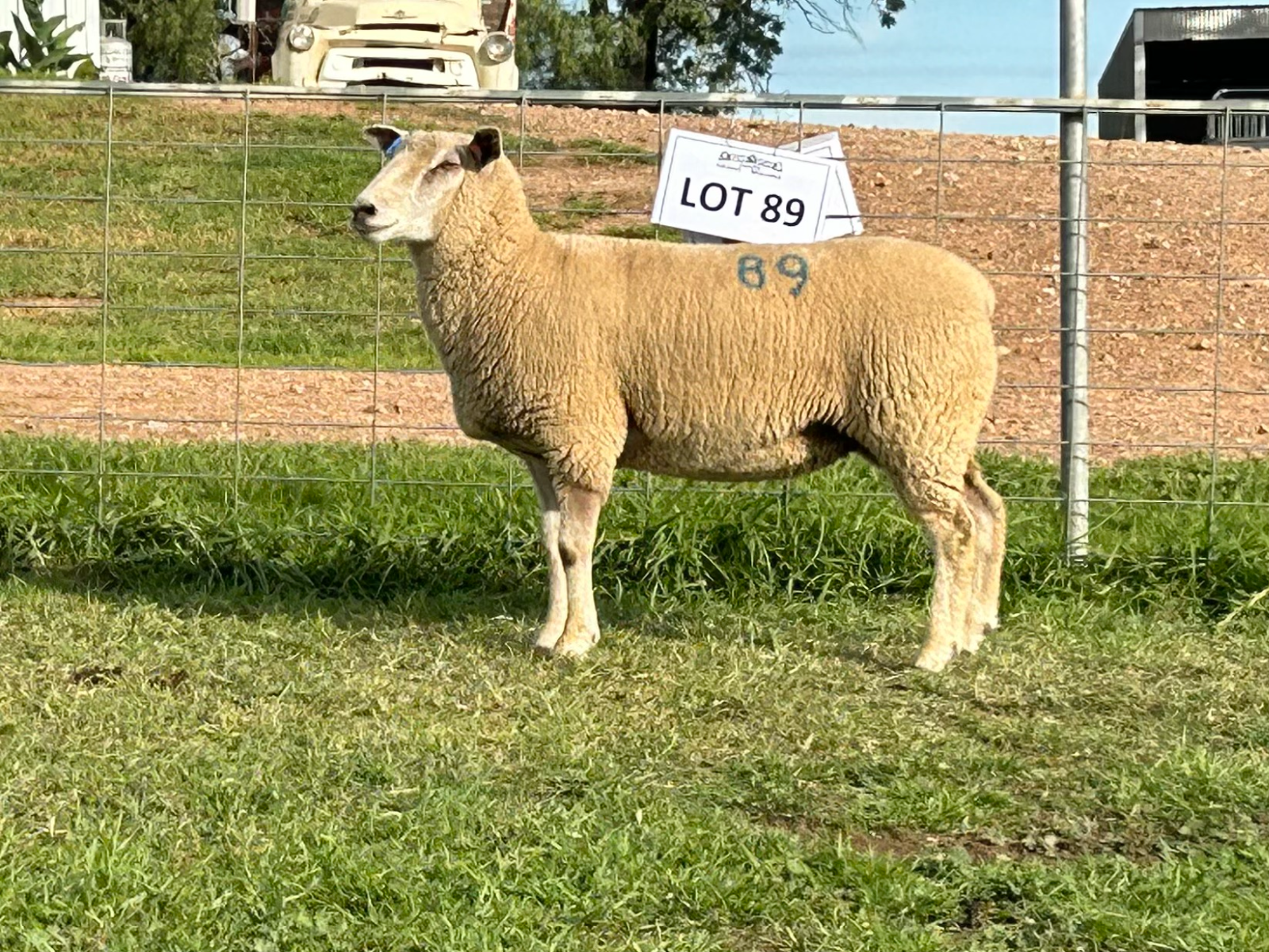 Lot 89 - Tag 214.24 | AuctionsPlus