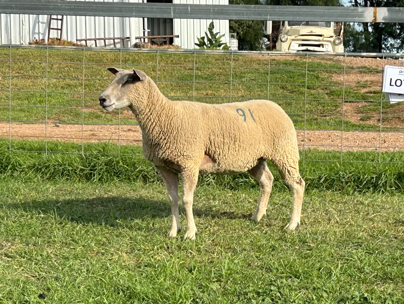 Lot 91 - Tag 166.24 | AuctionsPlus