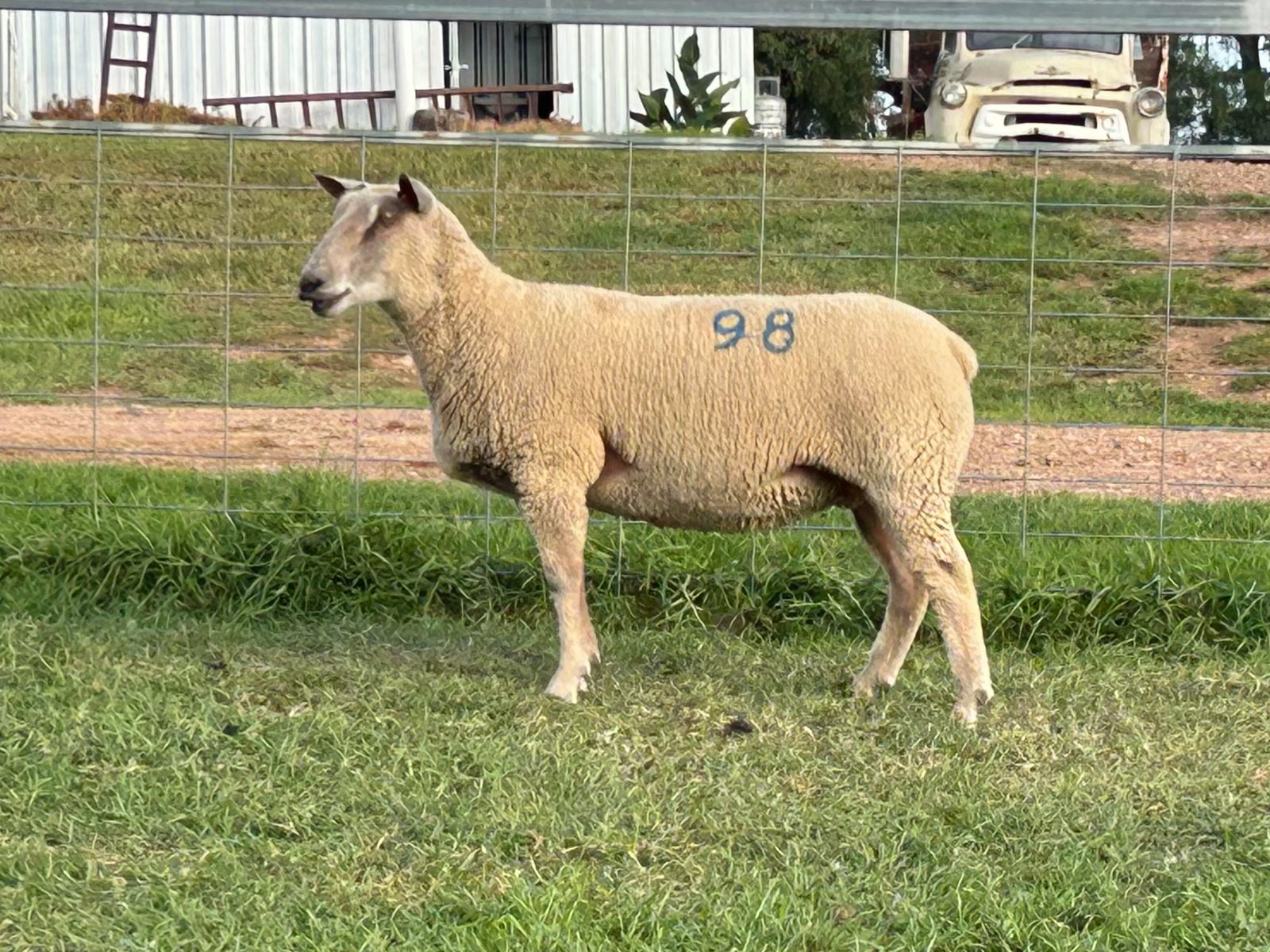 Lot 98 - Tag 170.24 | AuctionsPlus