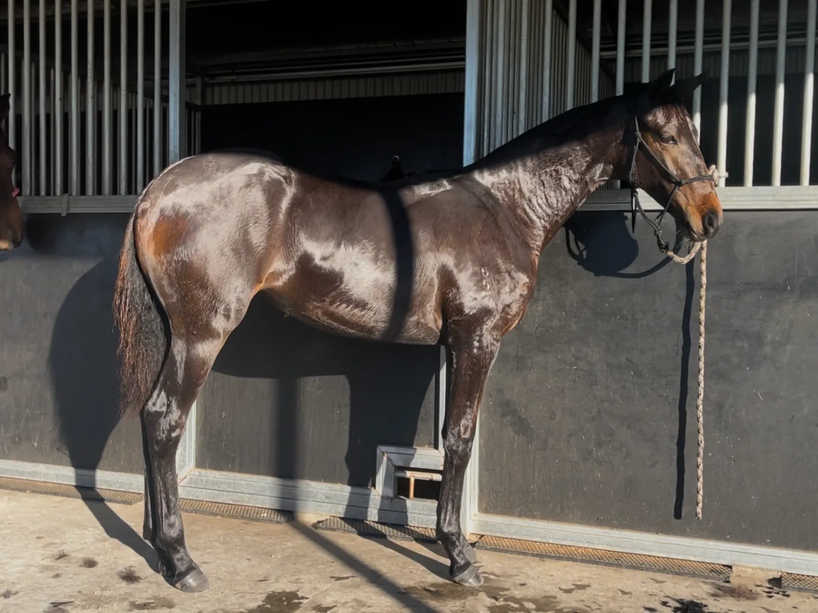 RIVERGLEN ARIA