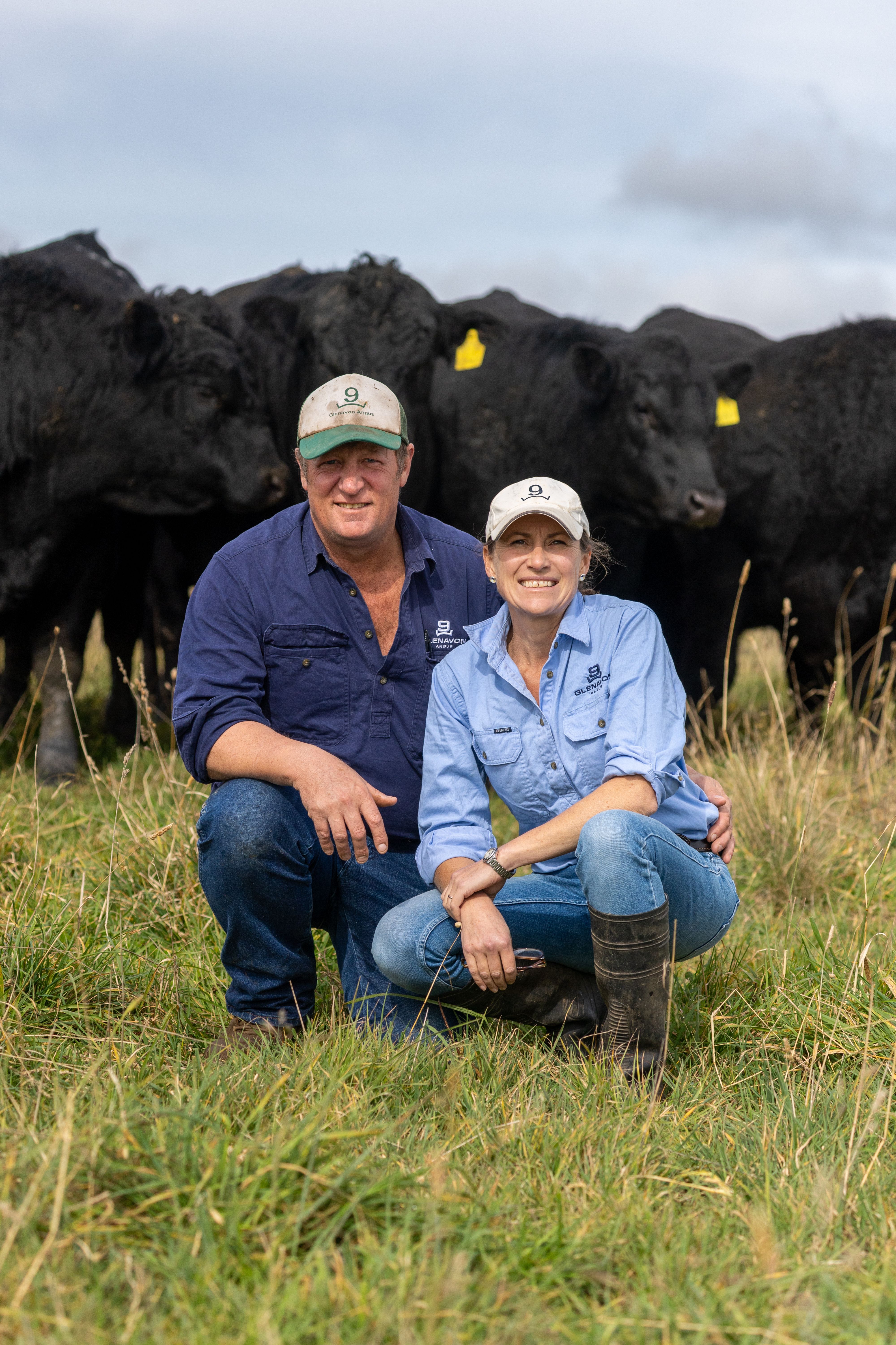 Glenavon Angus