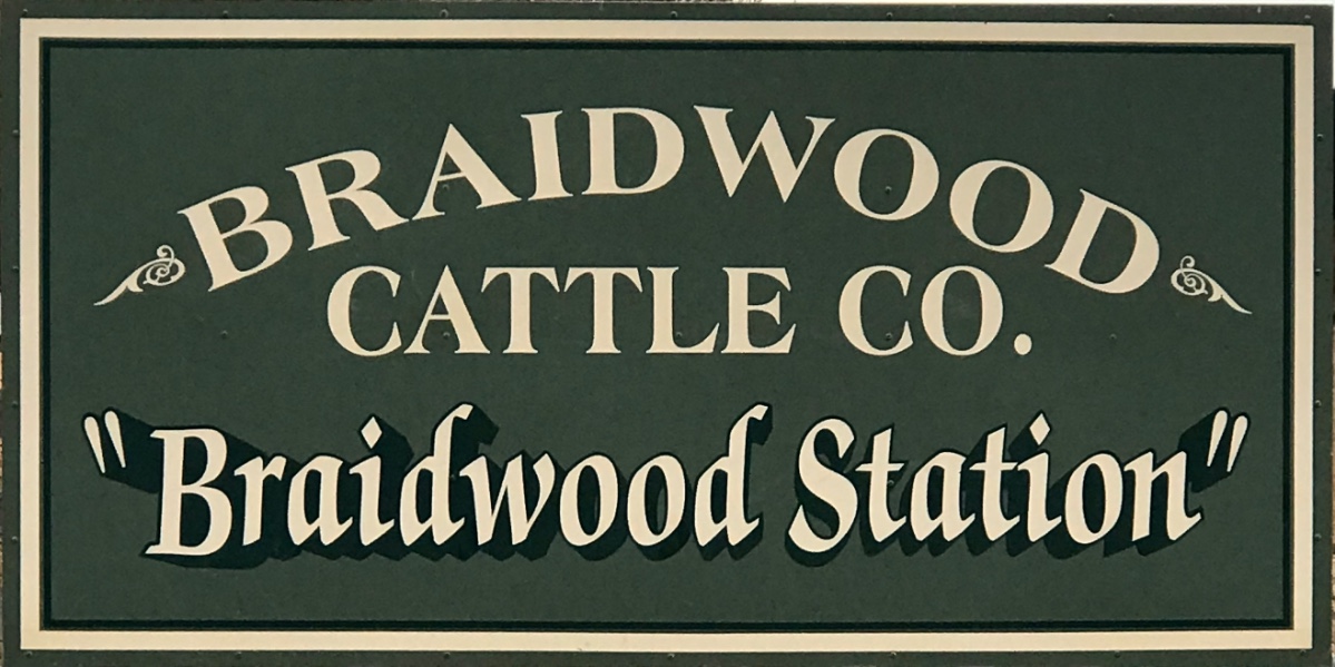 Lot 317 62 Feeder Heifers AuctionsPlus