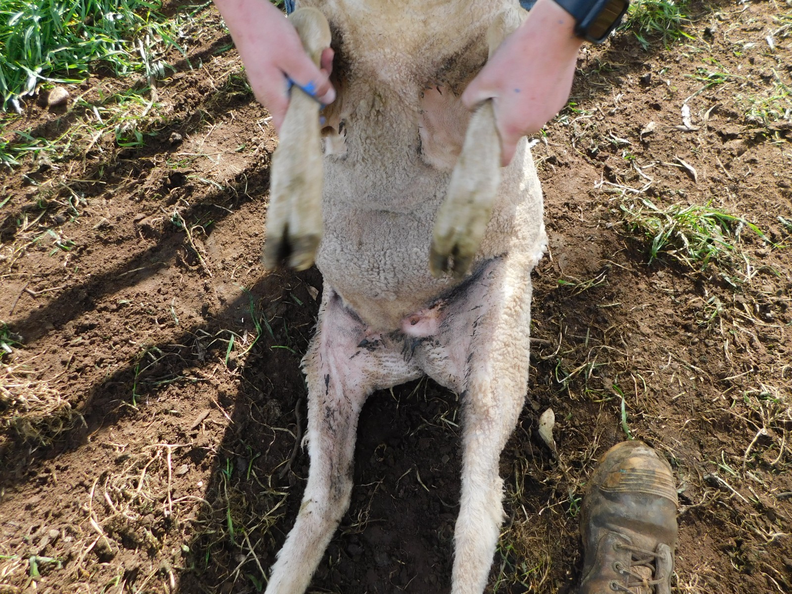 slider image