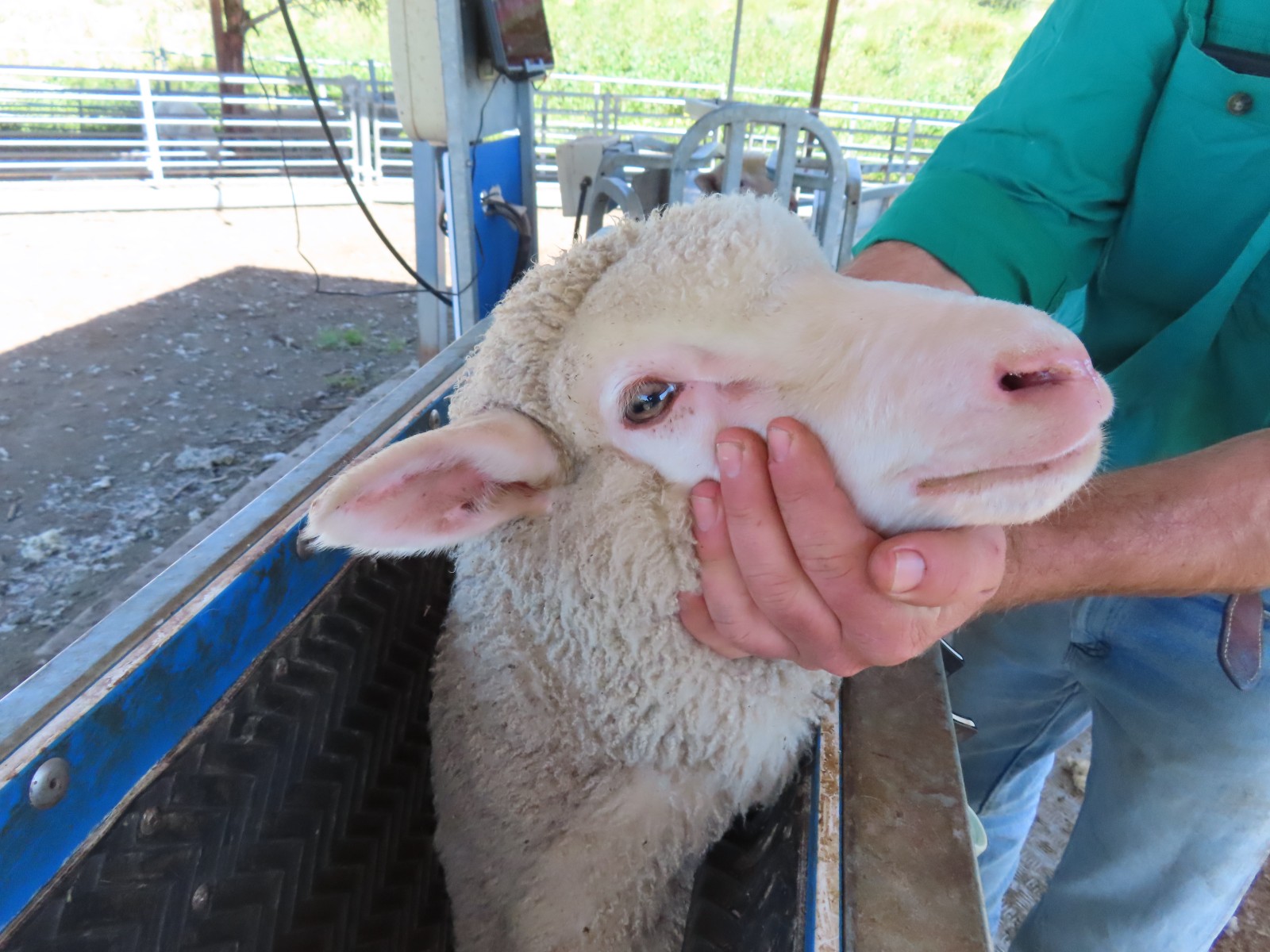 slider image