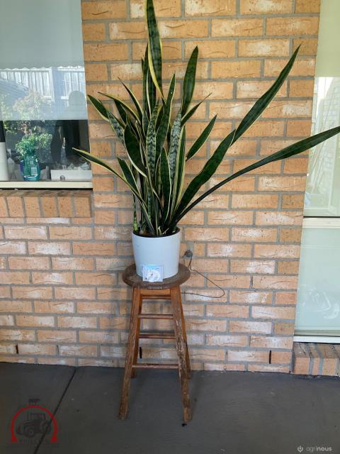 165 · Wooden Stool