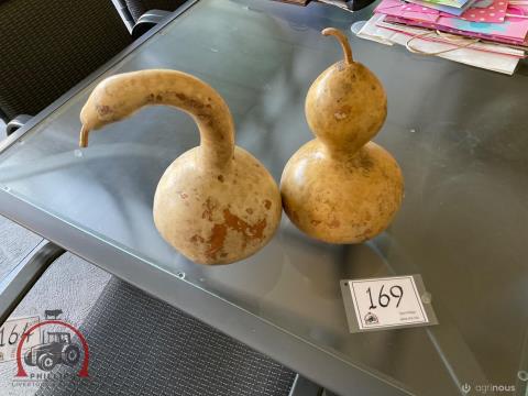 169 · 2 x Gourds