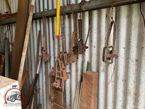 298 · Vintage Rabbit Traps (Used)
