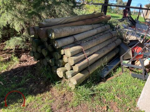154 · Full Pack Of Treated Pine Posts (New)