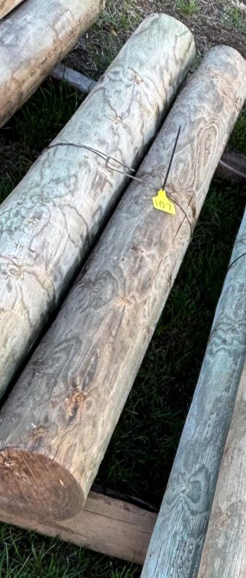 Lot 107 · 2 x 6' strainer post
