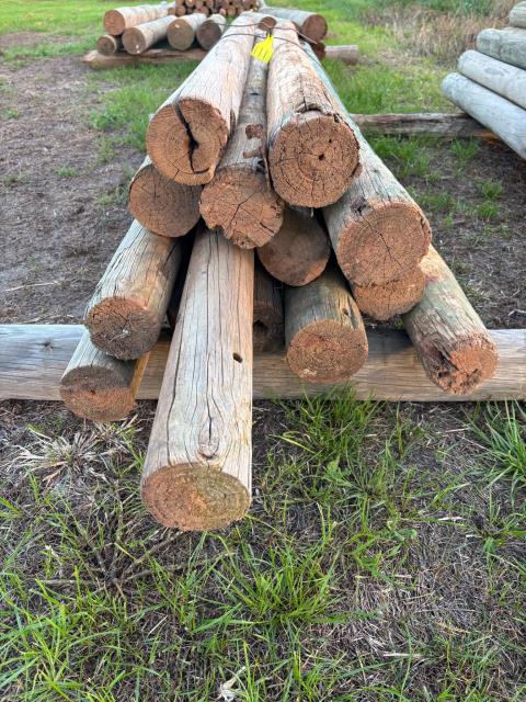 Lot 111 · Various pine post
