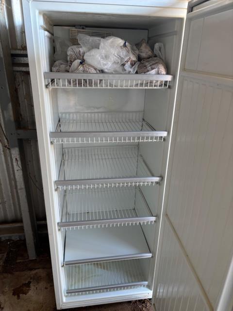 Lot 222 · Upright freezer