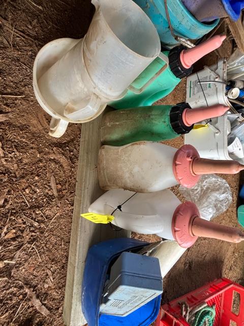 Lot 141 · 4 x 2ltr single teat calf bottles