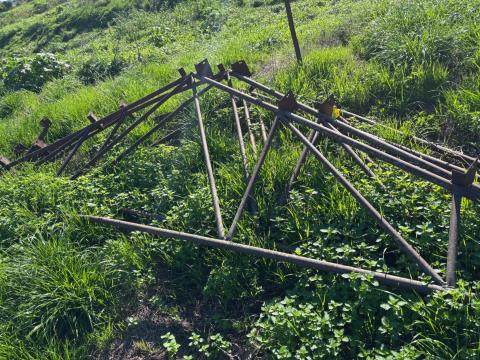 Lot 233 · Old shed trusses