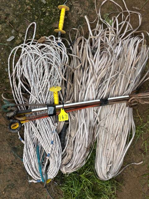 Lot 167 · Piggy Tail Post & electric fence tape