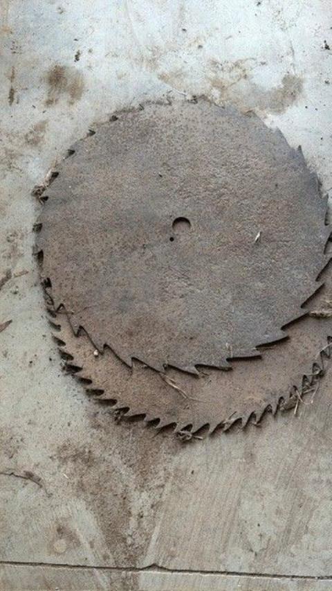 Lot 262 · Saw Blades