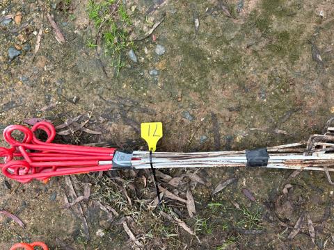 Lot 71 · 12 x Piggy Tail Post