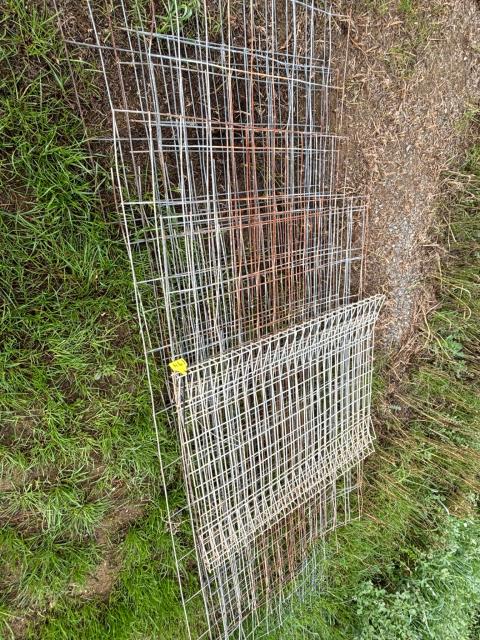 Lot 194 · Mesh