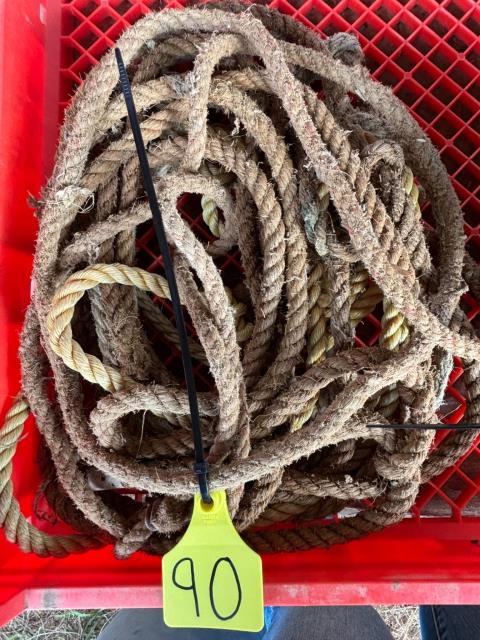 Lot 90 · Cow & Calf Halters