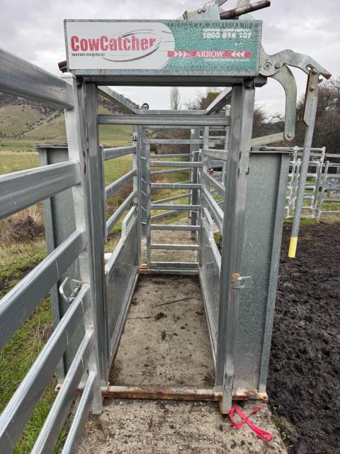 Lot 107 · Arrow Cowcatcher Cattle Crush
