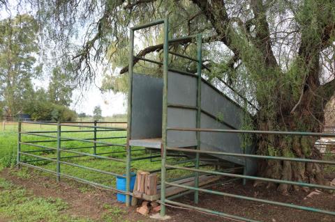Lot 27 · Steel Cattle Yards