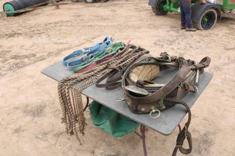 Horse equipment