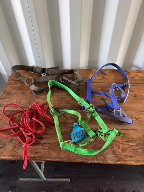 Assorted halters