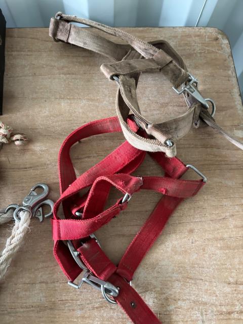 Lot 128 · Assorted Leads + Halter