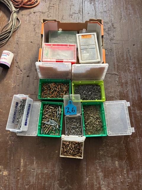 Assortment of Nails + Screws