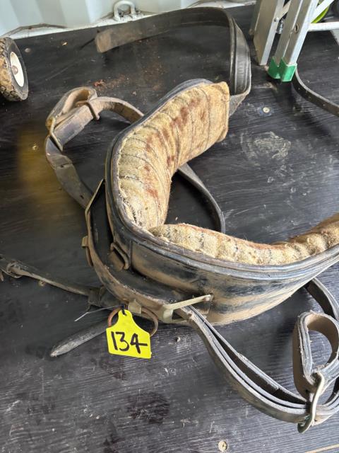 Antique Horse Gear