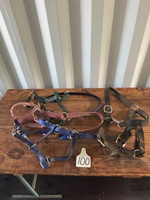 Assorted halters