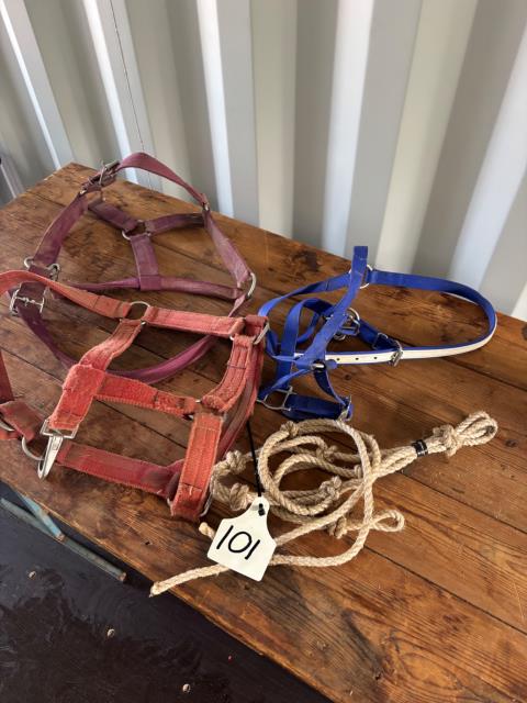 Lot 101 · Assorted halters