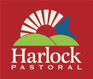 49 Weaned Steers (HARLOCK PASTORAL)