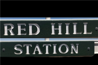 230 Nsm Ewes (Red Hill Station Past Co)